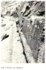 Khallat ed-Danabiya- A rock-cut channel (Goldfus 1990: 230, Fig. 6).
