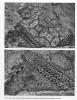 Kh. Umm Leisun- segments of the mosaic paving (Magen and Kagan 2012 II: 93, no.214.2)