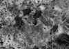 Aeria view and magnetometry, Jordan 2020