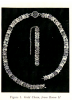 Gold chain and bracelet found in room H (FitzGerald 1939, Fig. 1).