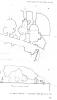 Ein abu Mahmud- plan of complex 3 with chapel (Patrich 1995: 130, image 57)  