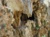 Sabas cave of seclusion near Nicopolis, Nahal Itlah (Amud Anan)