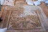 Mosaic floor in the assembly hall, Paran 2009.